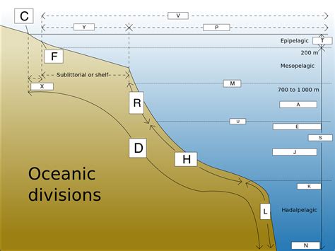 96 best ideas for coloring | Ocean Zones Diagram For Kids