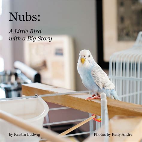 Nubs: A Little Bird with a Big Story / House of Nubs