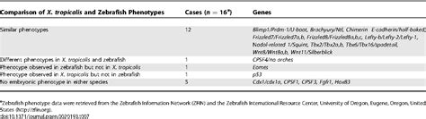 Table From Defining Synphenotype Groups In Xenopus Tropicalis By Use