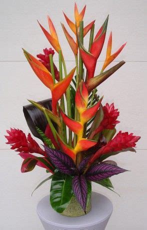 tropical plants  fresh cut tropical flowers  sale heliconia