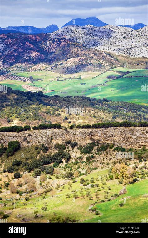 Andalucia countryside scenic landscape in southern Spain Stock Photo - Alamy