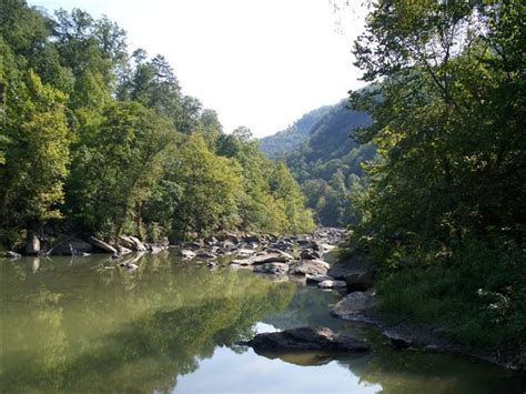 Clear Fork River At Jellico Tennessee Appalachia Tennessee Forked River