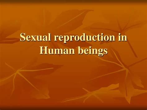 Ppt Sexual Reproduction In Human Beings Powerpoint Presentation Free