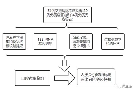 科研 浙大一院：口腔微生物群与人类免疫缺陷病毒感染者的免疫恢复有关国人佳作唾液多样性免疫