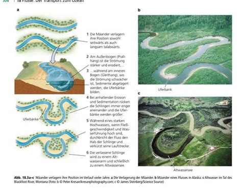 Fluviale Morphodynamik Karteikarten Quizlet