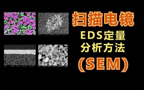 Sem扫描电镜能谱分析edx Mapping