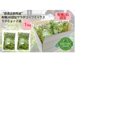 Fv004【飲食店御用達】有機jas認証サラダリーフmix500g×2袋 合計1kg）産地直送 新鮮野菜 冷蔵発送 佐賀県みやき町