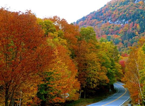 The 5 Best States For Fall Foliage This Autumn