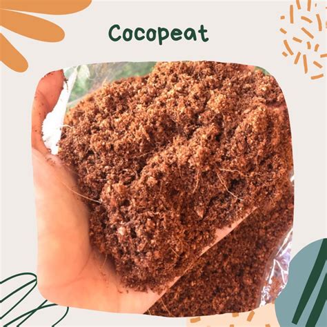 Jual Media Tanam Cocopeat Shopee Indonesia