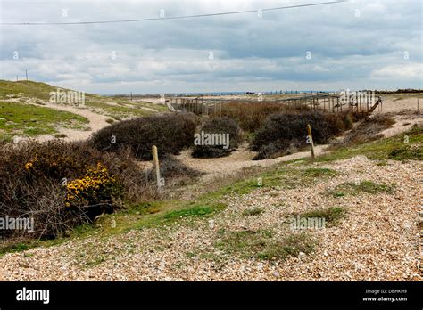 Heligoland trap hi-res stock photography and images - Alamy