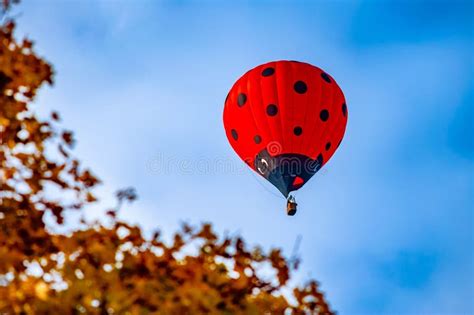 Red Hot Air Balloon Ladybug In Blue Autumn Skies Stock Image Image Of Autumn Vehicle