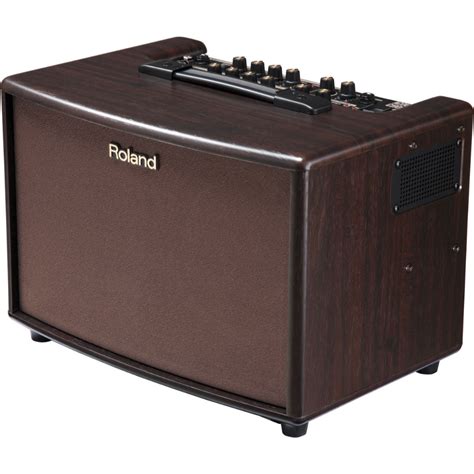 Roland Acoustic Chorus Guitar Amplifier Ac 60 Rw [rosewood] Talentz