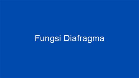 Fungsi Diafragma