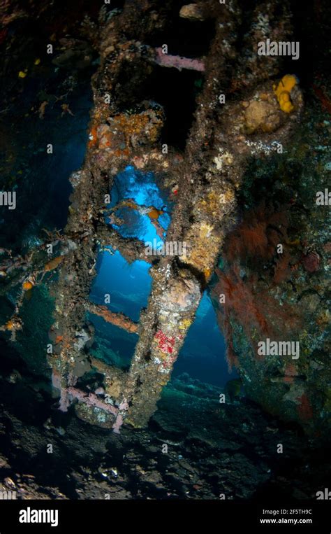 Coral Encrusted Ladder Inside Wreck Liberty Wreck Dive Site Tulamben