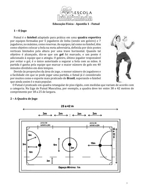 Plano De Aula Futsal Pdf Futebol