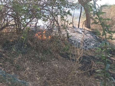 Fault In Power Line Caused Arson Four Trolley Fodder And Thatch Burnt