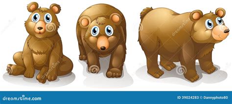 Set Of Brown Bears Vector Illustration 100526008