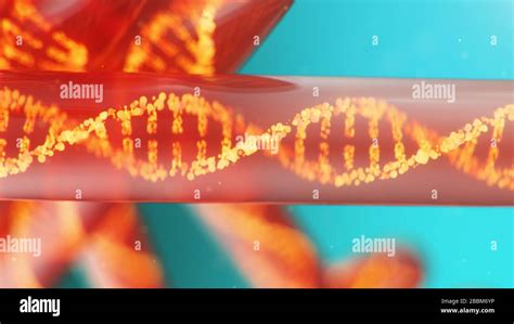 Ilustraci N D Mol Cula De Adn Su Estructura Concepto Genoma Humano