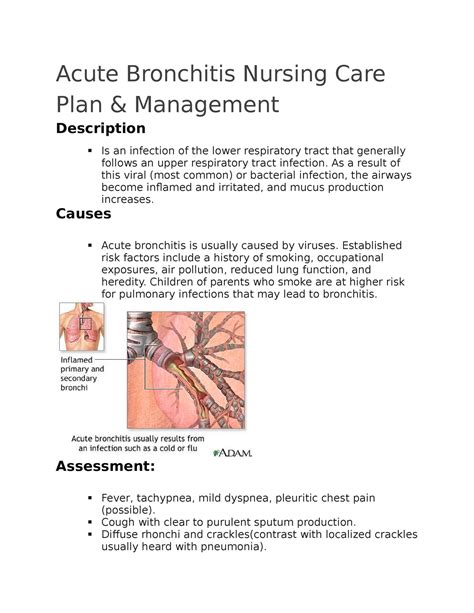 Acute Bronchitis Nursing