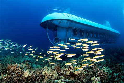 Atlantis Submarine From Kona Beach 2025 Big Island Of Hawaii