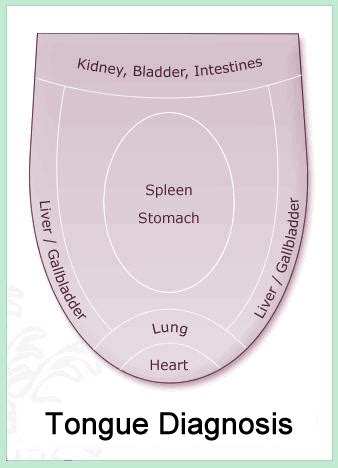 Diagnosis | Angies Acupuncture