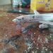 Pin De Nrv Em Papercraft Aircraft