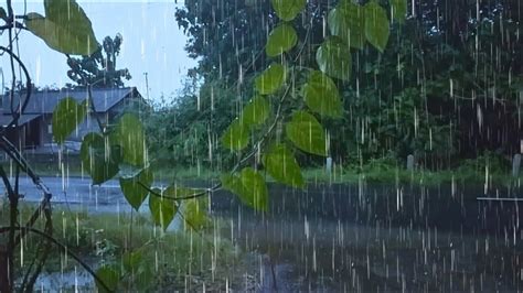 Perfect Rain Sounds For Peaceful Sleep Soothing Rain ASMR The