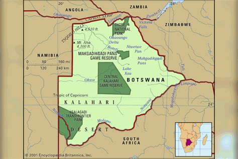 discover botswana honey badger namibia