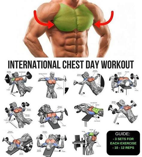 Chest day complete workout | Exercice musculation pectoraux, Exercice ...