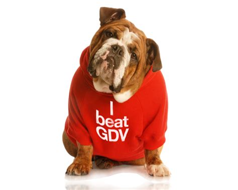 Bloat and GDV in DogsThe Veterinary Expert| Pet Health