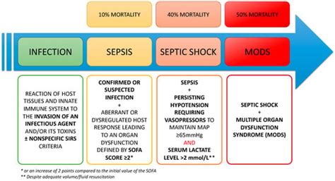 Sepsis Pathophysiology Made Easy