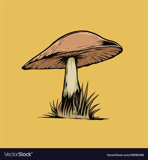 Vintage mushroom Royalty Free Vector Image - VectorStock