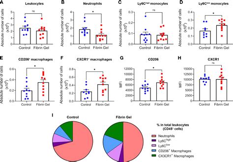 Frontiers Physiological Fibrin Hydrogel Modulates Immune Cells And