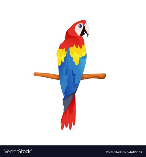 Scarlet macaw or parrot icon clipart Royalty Free Vector