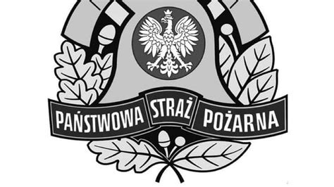 Zginął strażak Wypadek podczas poszukiwań Grzegorza Borysa