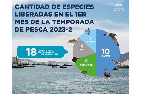 Día Mundial De La Pesca Tripulantes De Embarcaciones Industriales