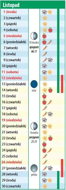 Kalendarz Biodynamiczny Na Listopad Kiedy I Jakie Prace Wykona