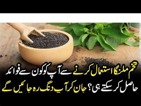 Tukh Malanga Ke Fayde In Urdu Hindi Basil Seeds Benefits YouTube