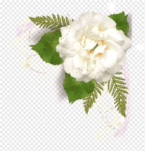 Marcos De Flores Blanco Folleto Arreglos Florales Blanco Flor