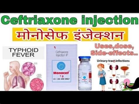 Monocef G Injection Review In Hindi Uses Composition