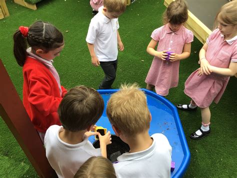 Grateley Primary School Planting