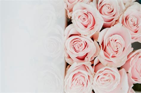 Wallpapers Wedding Roses - Infoupdate.org