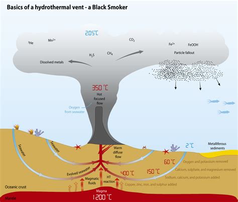 Hydrothermal Vent Diagram