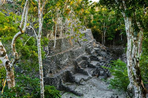 Long Hidden Ruins Of Vast Network Of Maya Cities Could Recast History