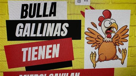 C Mo Las Gallinas Se Ponen En Alerta M Xima Cuando El Gavilan Esta De