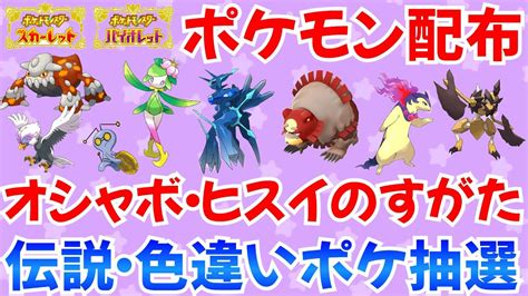 【ポケモンsv】オシャボandヒスイポケモン配布 少し伝説 色違い抽選 ガチグマ バサギリ 6vポケ オシャボヒスイ ライブ ポケモン配布