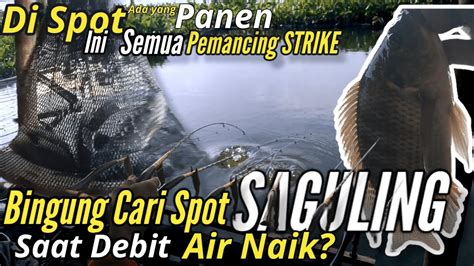 Mancing Saguling Terbaru Mancing Ikan Nila Spot Saguling