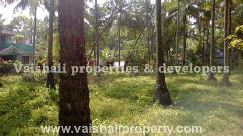 Residential Plot Cent For Sale In Feroke Kozhikode Rei