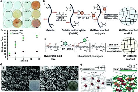 Polyphenol Scaffolds In Tissue Engineering Materials Horizons Rsc