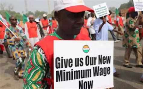 Nigeria Labour Congress Safeguarding Nigerias Strategic Armature